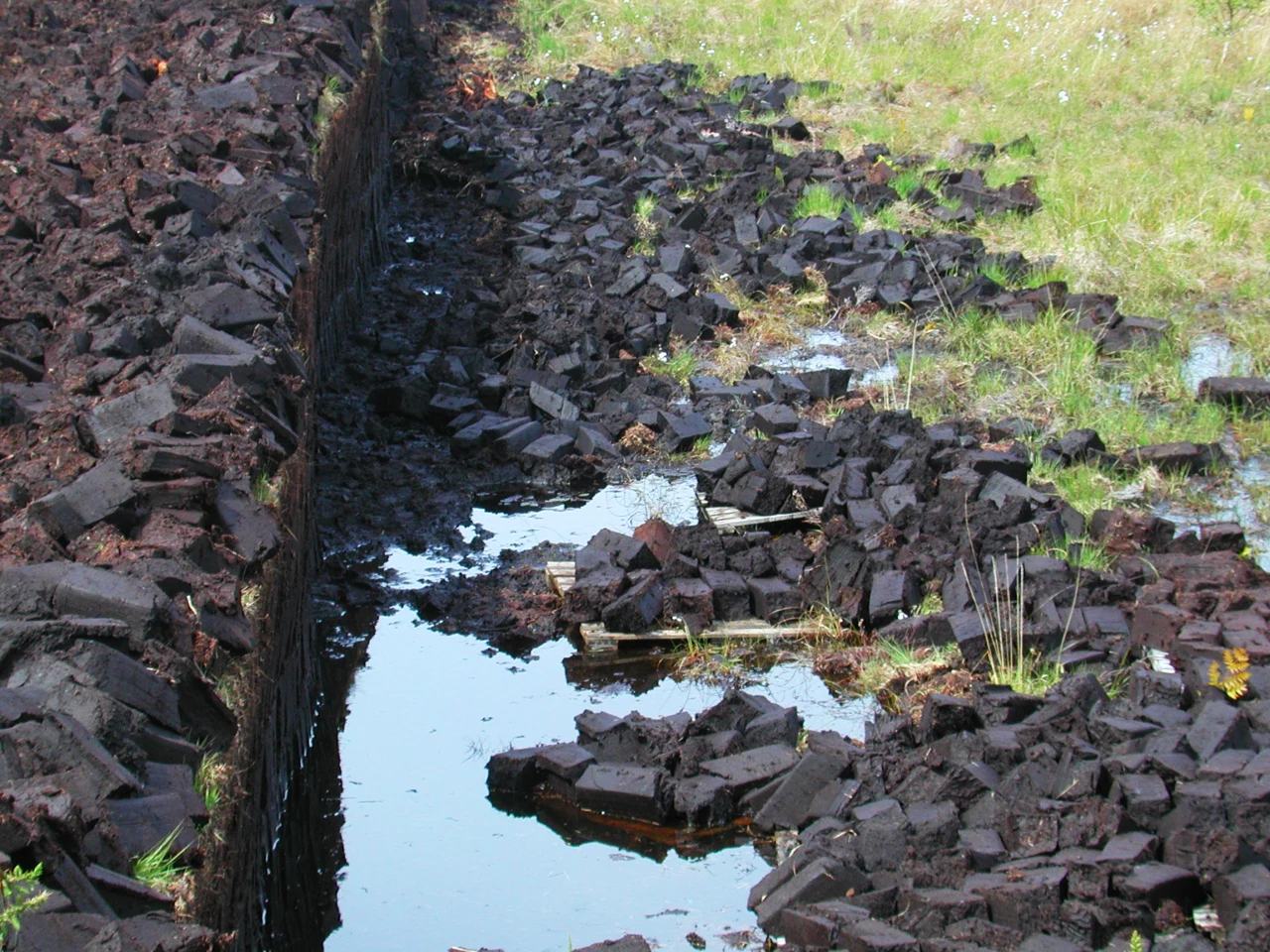 Wassergefüllter Graben und dunkle Torfschichten in einem Moor