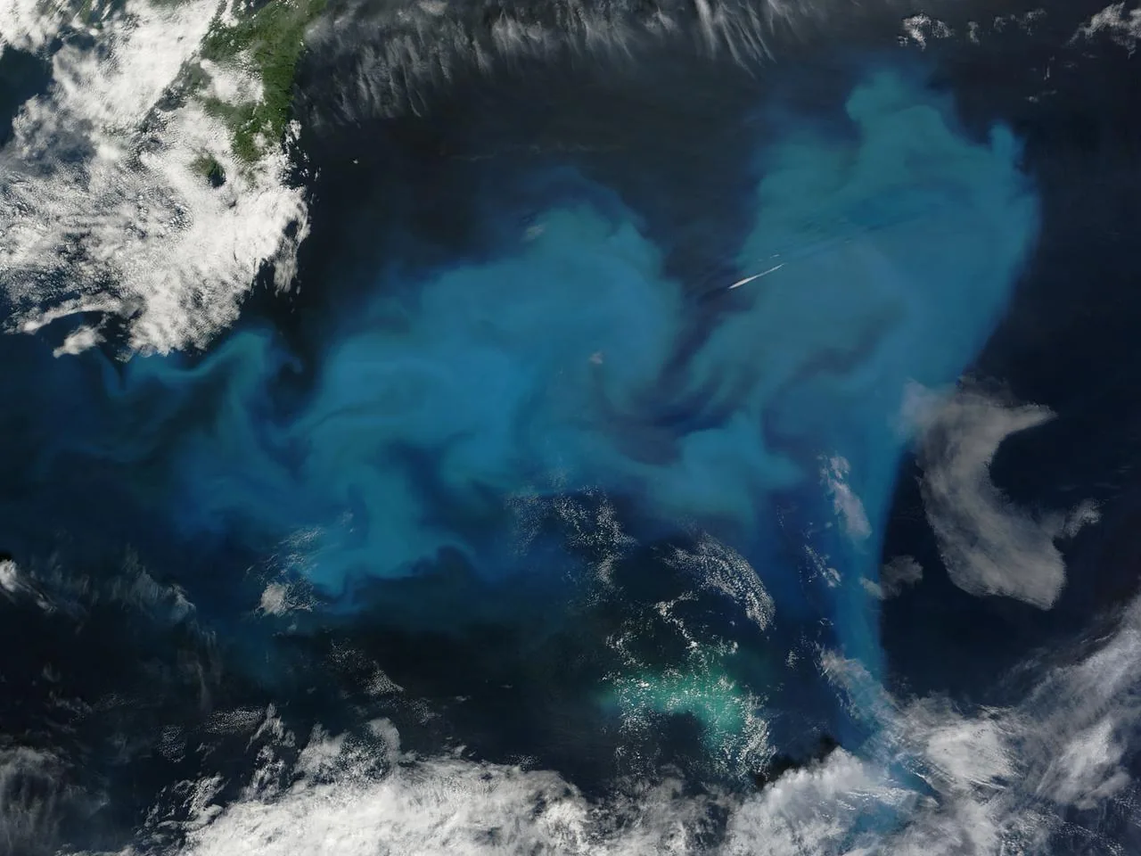 Türkisfarbene Wirbel einer Phytoplanktonblüte im blauen Nordatlantik