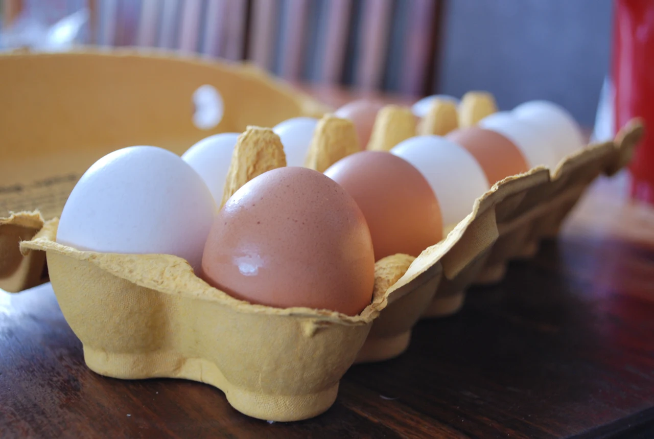 Braune und weiße Hühnereier in einer offenen Eierpackung
