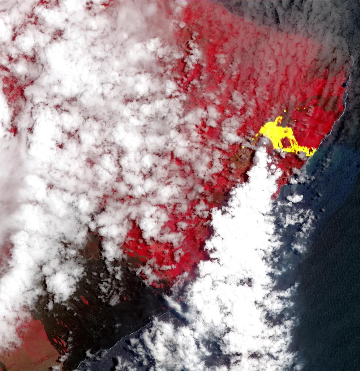 Falschfarben-Satellitenaufnahme des Kīlauea mit roten Vegetationsflächen und gelben Lavaströmen
